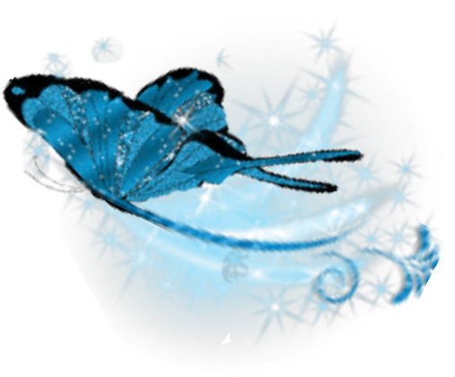 Butterfly Image